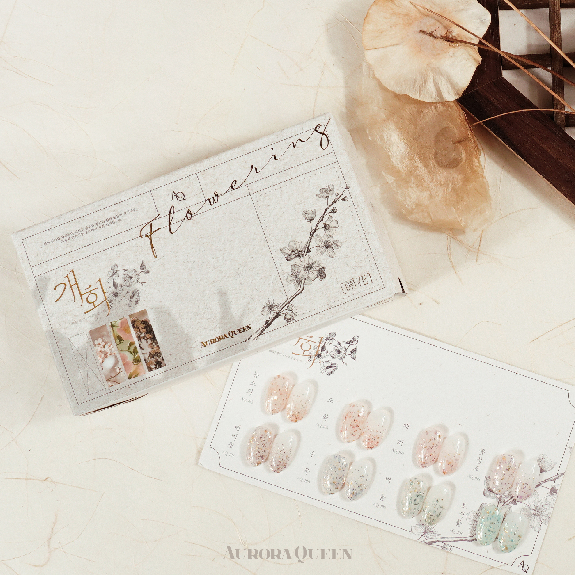 AURORA QUEEN BLOSSOM COLLECTION - Ảnh 5